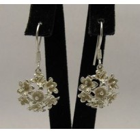 E000298 Sterling Silver Earrings Flower 925